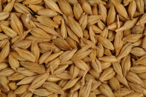 oats natural remedies