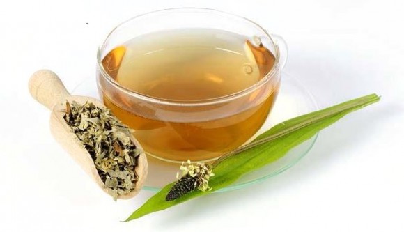 plantain tea 