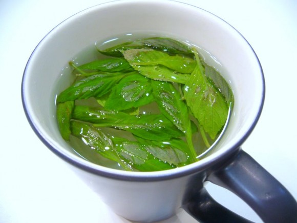 Basil tea hangover remedy