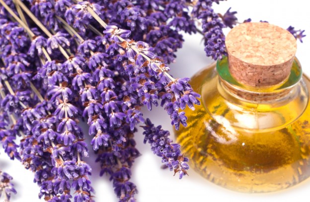Why You Should Have Lavender Oil In Your Home - The Open Mind
